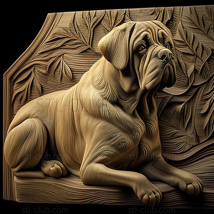 st English Mastiff dog